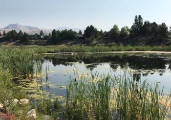 Jean Ford Hike: Verdi’s Crystal Peak Park